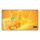 MON 43DS UHD 4K 500NIT 24/7 MM VESA 200X200 43UH5Q-E WEBOS WIFI