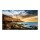 MON 65DS DLB 4K 300NIT 4000:1 HDMI QE65T HDMI LAN MM