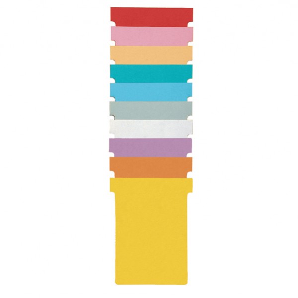 Schede a T indice 1 bianche per Professional Planner - Nobo - conf. 100 pezzi Schede a T indice 1 bianche per Professional Planner - Nobo - conf. 100 pezzi