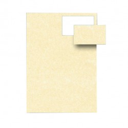 Biglietti da visita - 85 x 54 mm - 165 gr - microperforati - avorio - Decadry - conf. 12 fogli da 10 biglietti