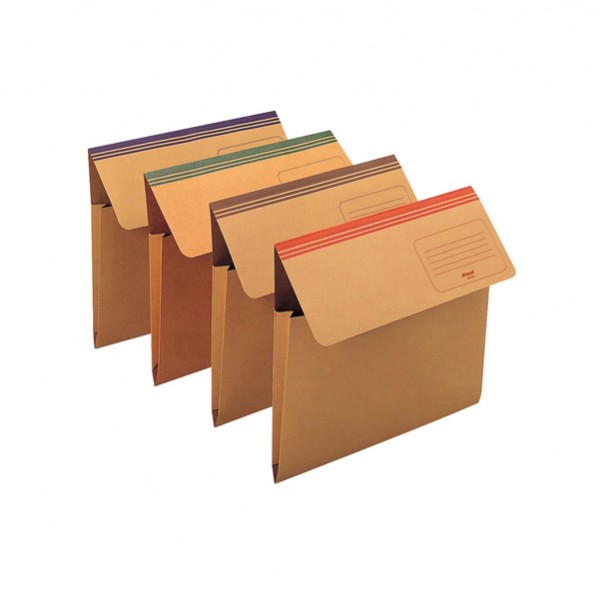 Cartellina a busta Dixie Mec - 200 gr - 33,7 x 26,2 cm - cartoncino avana - blu - Rexel Cartellina a busta Dixie Mec - 200 gr - 33,7 x 26,2 cm - cartoncino avana - blu - Rexel