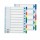 Separatore - 10 tasti colorati - PP - A4 maxi - 24,5x29,7 cm - multicolore - Esselte