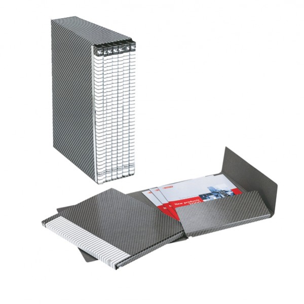 Gruppo Delso Line - 25 x 32 cm - 6 cartelle 2 lembi - con custodia - dorso 1,5 cm - grigio - Esselte