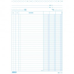 Schede - 2 colonne - 21 x 15 cm verticale - Edipro - conf. 100 pezzi