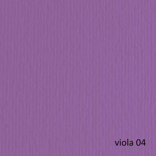 Cartoncino Elle Erre - 70 x 100 cm - 220 gr - viola 104 - Fabriano - blister 10 fogli Cartoncino Elle Erre - 70 x 100 cm - 220 gr - viola 104 - Fabriano - blister 10 fogli