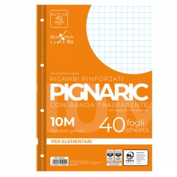 Ricambi forati rinforzati Pignaric - A4 -  10mm - 80gr - Pigna - conf. 40 pezzi