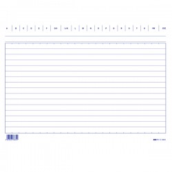 Schede in cartoncino rigate - 17 x 24 cm orizzontale - Edipro - conf. 100 pezzi
