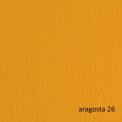 Cartoncino Elle Erre - 70 x 100 cm - 220 gr - aragosta 126 - Fabriano - blister 10 fogli