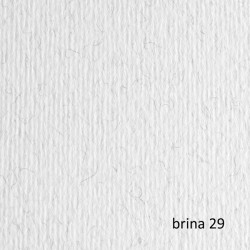 Cartoncino Elle Erre - 70 x 100 cm - 220 gr - brina 129 - Fabriano - blister 10 fogli