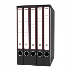 Gruppo registratori Quintetto - 23 x 32 cm - con 5 cartelle 3 lembi - dorso 23 cm - grigio - Rexel