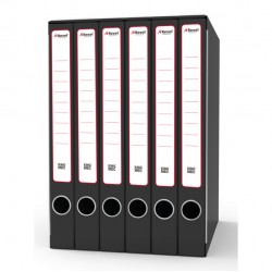 Gruppo registratori Sestetto - 23 x 33 cm - con 6 cartelle 3 lembi - dorso 23 cm - grigio - Rexel