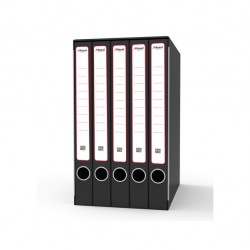 Gruppo registratori Quintetto - 23 x 32 cm - con 5 cartelle ad anelli - dorso 23 cm - grigio - Rexel