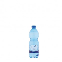 Acqua frizzante - PET - bottiglia da 500 ml - San Benedetto