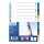 Divisori numerici 12 tacche - A4 - PP - colori assortiti - Favorit