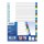 Divisori numerici 31 tacche - A4 - PP - colori assortiti - Favorit