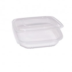 Contenitori in PP - con coperchio incernierato - 21,5 x 21,5 x 3,4 cm - Europack - pack 50 pezzi