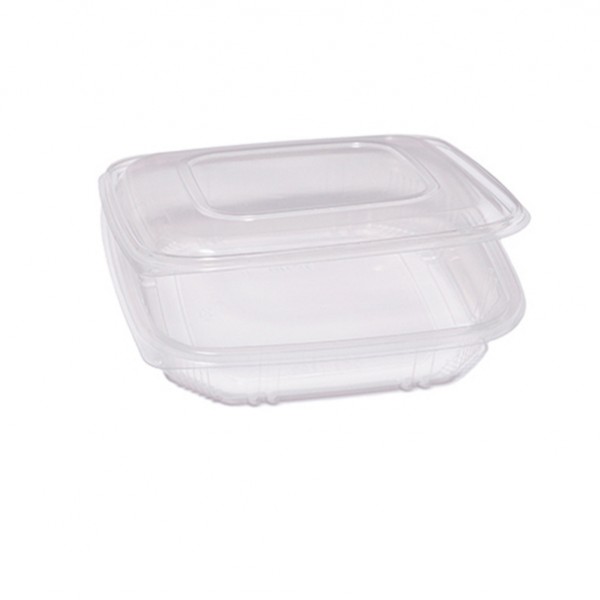 Contenitori in PP - con coperchio incernierato - 21,5 x 21,5 x 3,4 cm - Europack - pack 50 pezzi