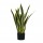 Pianta ornamentale Sansevieria - artificiale - 21 foglie - 75 cm - PE - King Collection