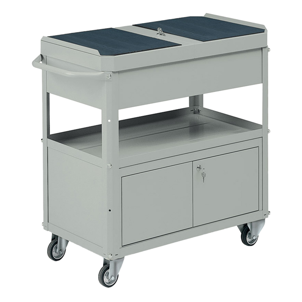 Carrello da lavoro - 2 vasche da 80 x 45 cm - con baule e portattrezzi - 92 x 47,8 x 87,5 cm - grigio - Tecnotelai Carrello da lavoro - 2 vasche da 80 x 45 cm - con baule e portattrezzi - 92 x 47,8 x 87,5 cm - grigio - Tecnotelai