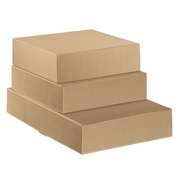 Scatola cantinetta - 2 bottiglie - 34 x 18,5 x 9 cm - cartone onda - avana - Scotton Scatola cantinetta - 2 bottiglie - 34 x 18,5 x 9 cm - cartone onda - avana - Scotton