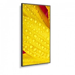 Monitor Sharp-Nec digital signage multisync ME431 IGO-ESP/60005048